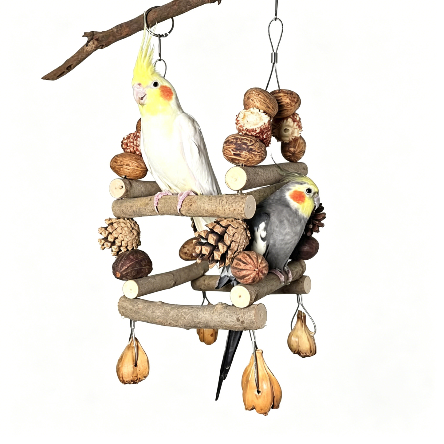 Natural Wood 2-Tier Foraging Bird Swing