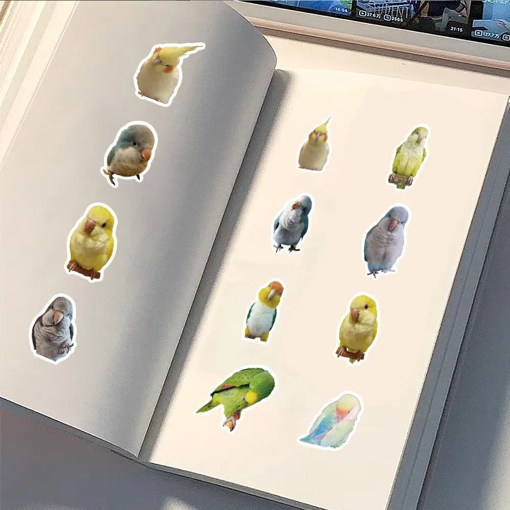 100 Pcs Realistic Parrot Sticker Pack