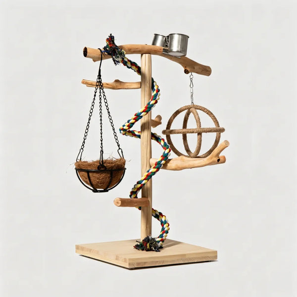 Bird Gyms & Stands