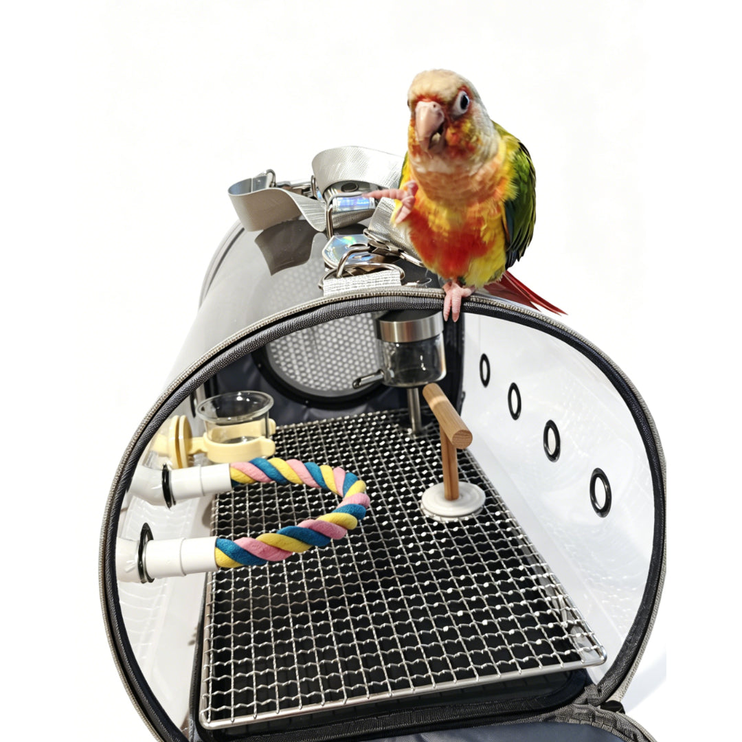 Large Capacity Clear Bird Travel Carrier