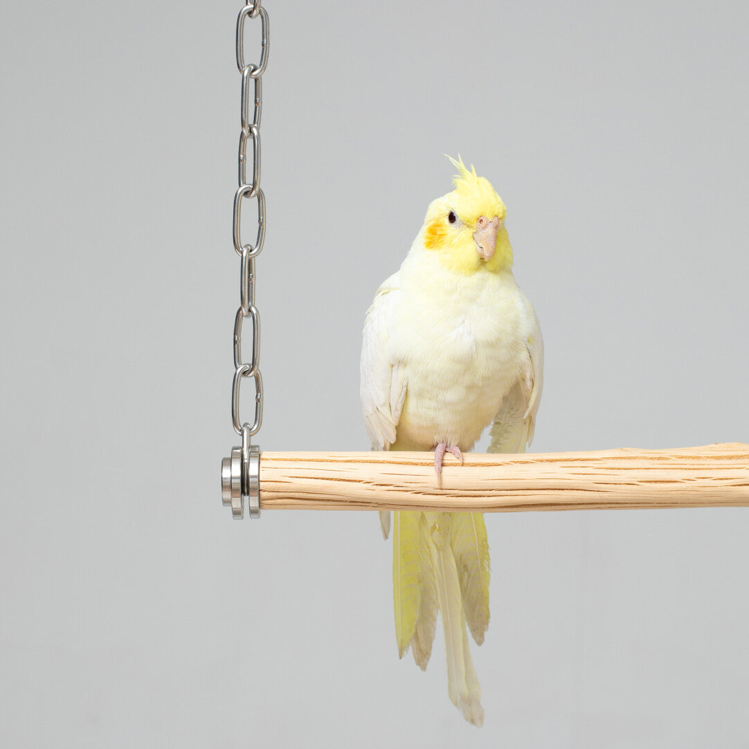Minimalist Wild Pearwood Bird Swing