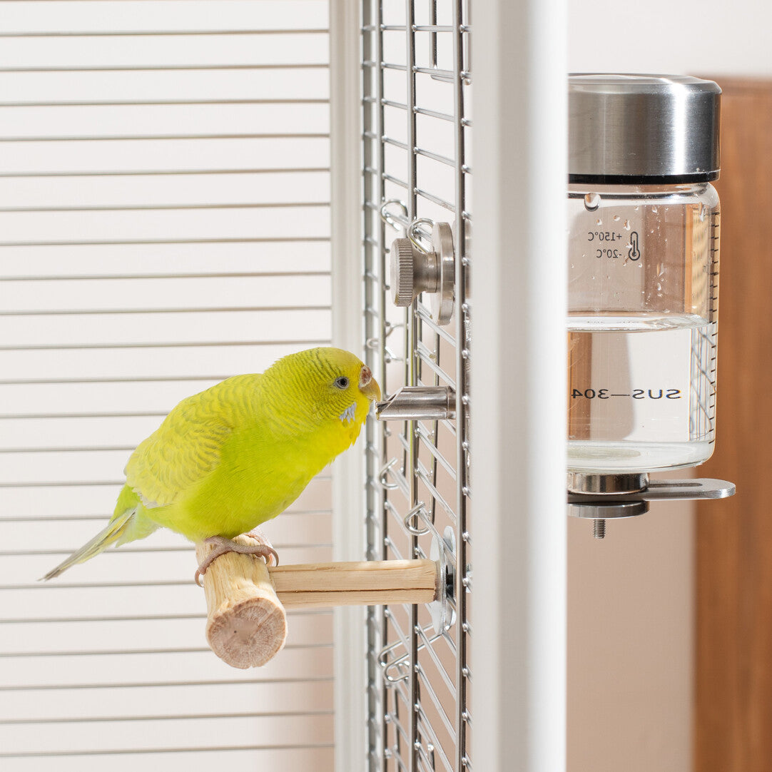 Magnetic Bird Waterer | No-Drip Pin Spout