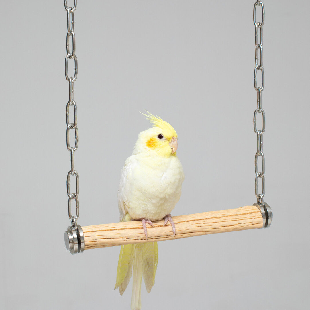 Minimalist Wild Pearwood Bird Swing