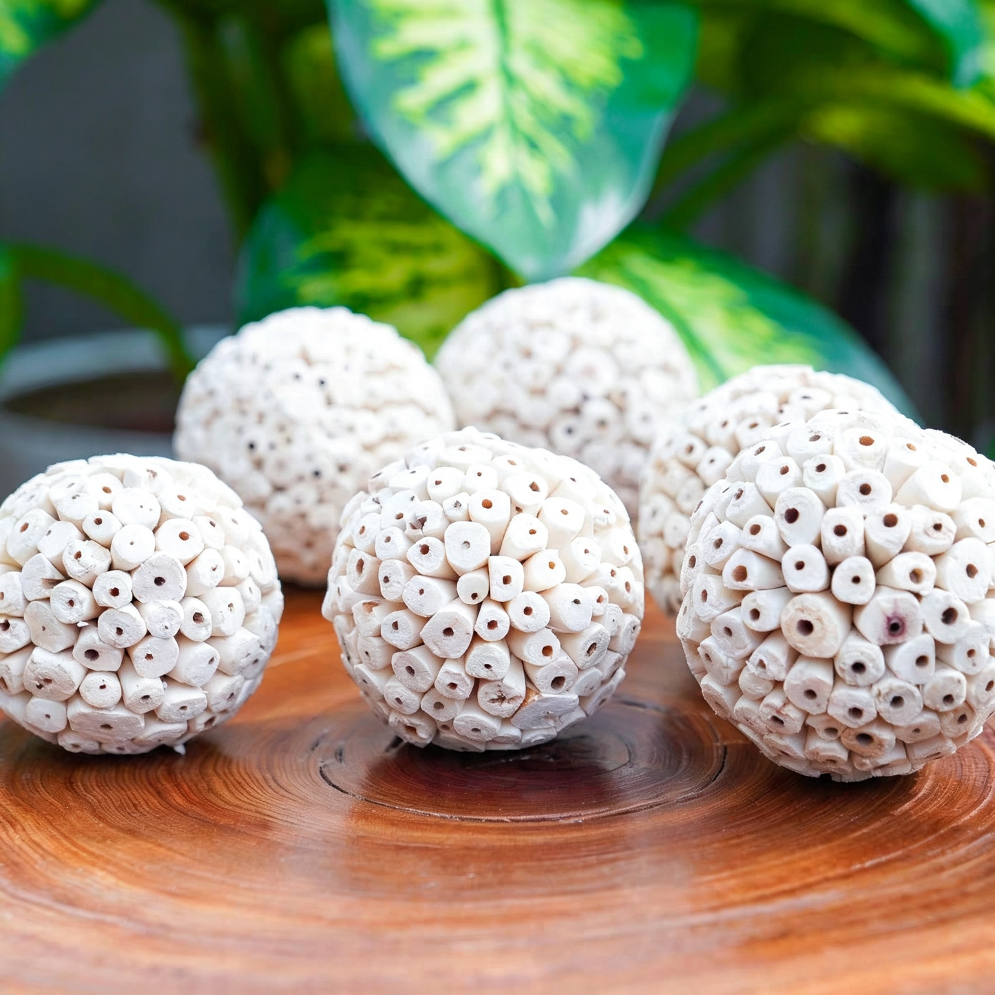 Natural Sola Wood Balls