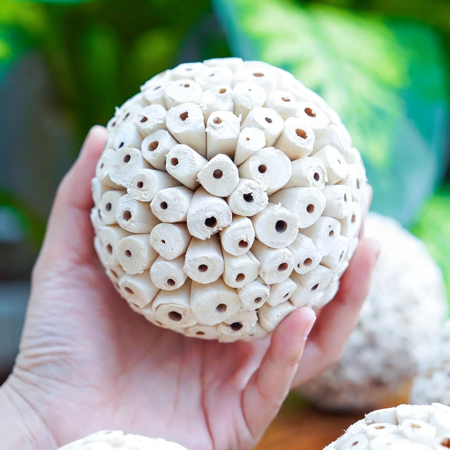 Natural Sola Wood Balls