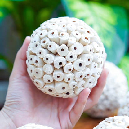 Natural Sola Wood Balls