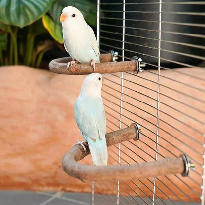 Natural Wood U-Shaped Bird Perch