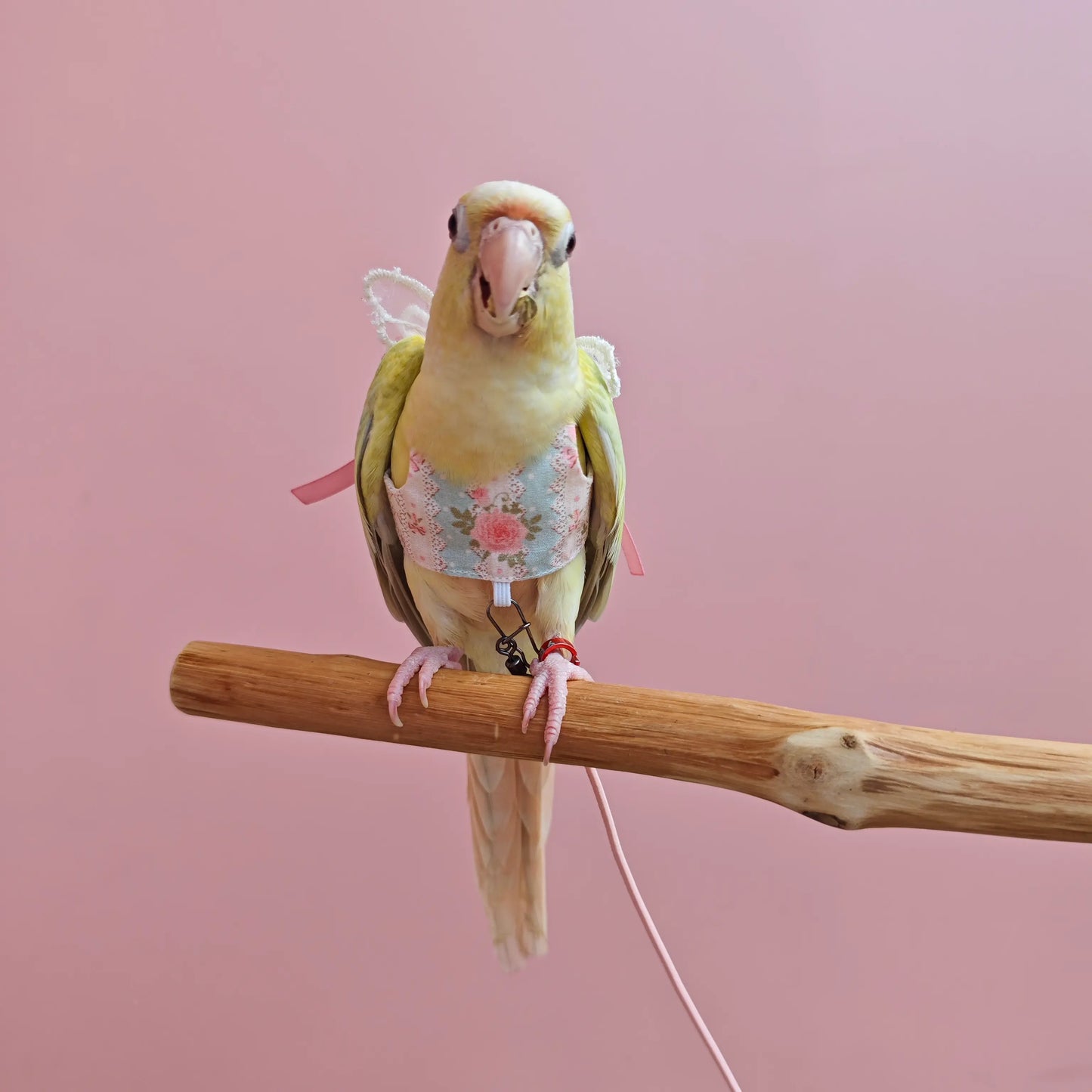 Rose Romance Lace Flight Harness