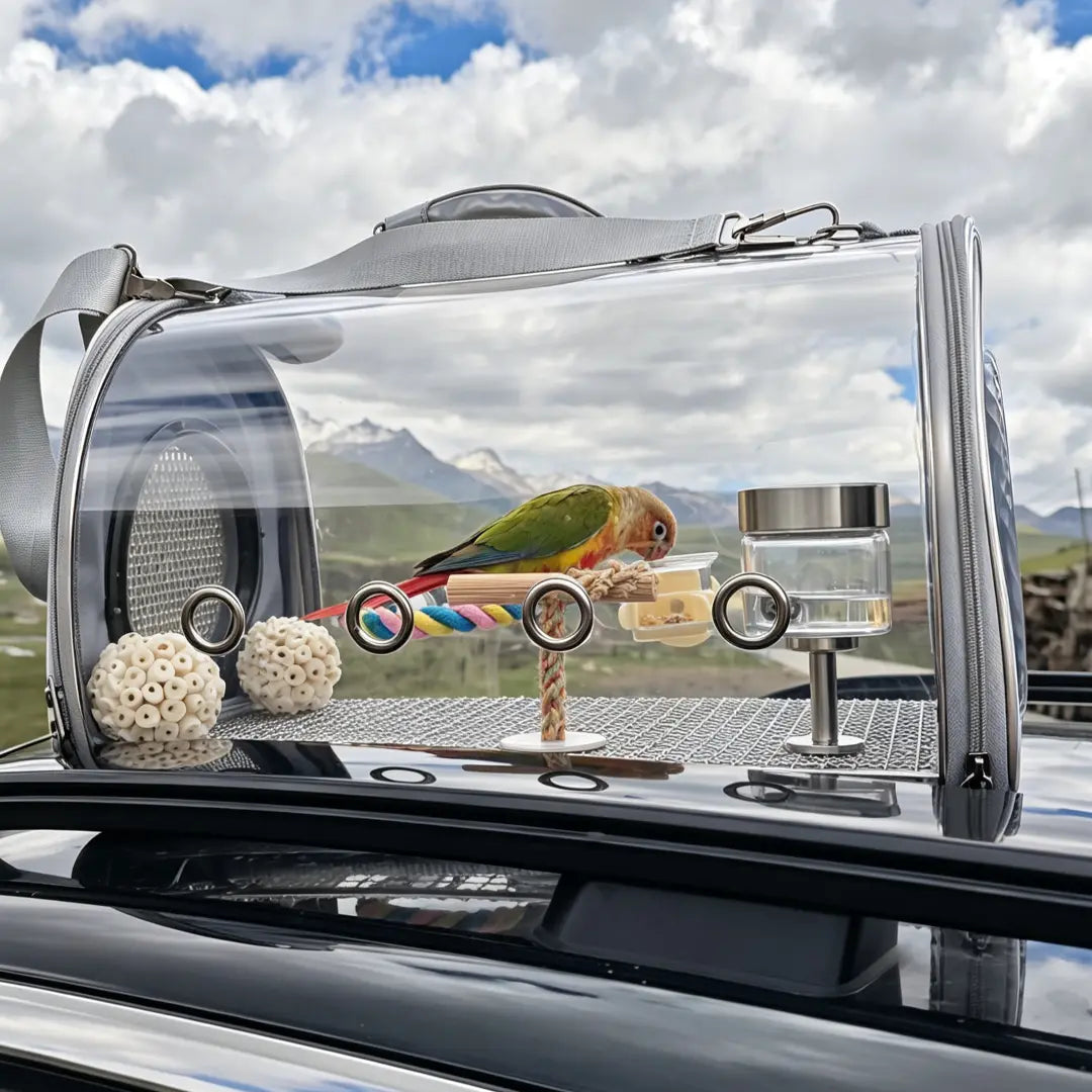 Large Capacity Clear Bird Travel Carrier