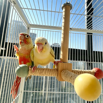 Interactive Spinning Bird Perch