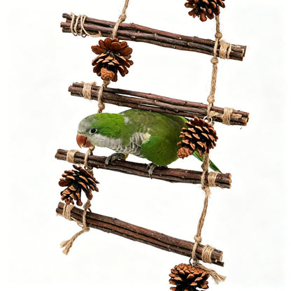 Pinecone Climbing Swing Toy