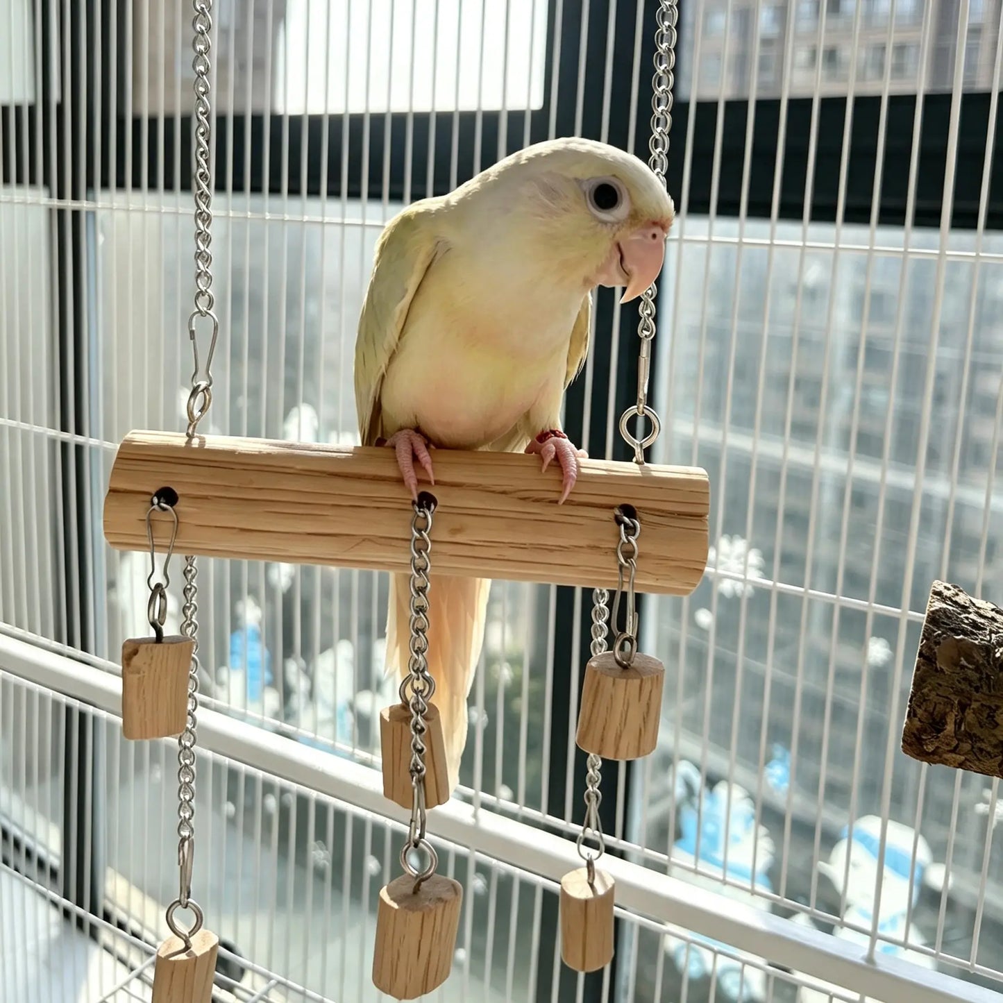 Natural Pear Wood Parrot Slip-Chain Swing