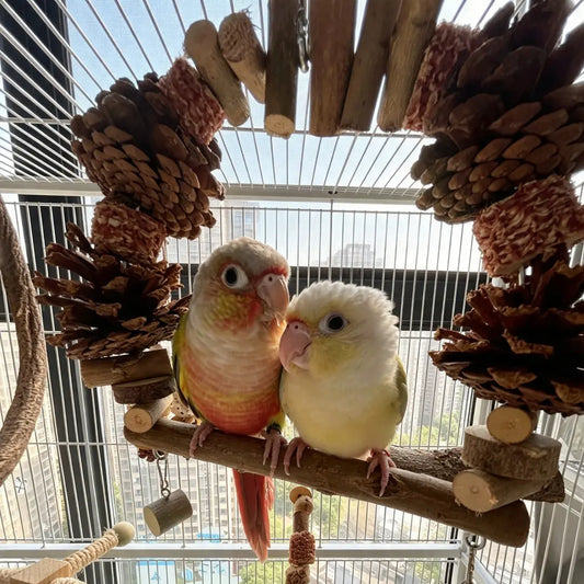 Pinecone & Natural Wood Arch Swing