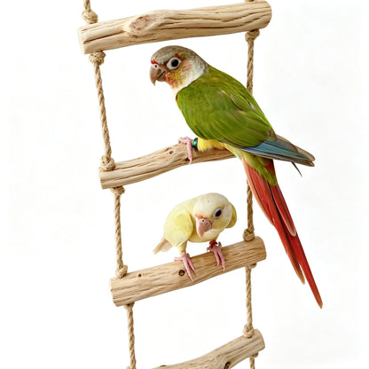Natural Wild Pearwood Bird Ladder