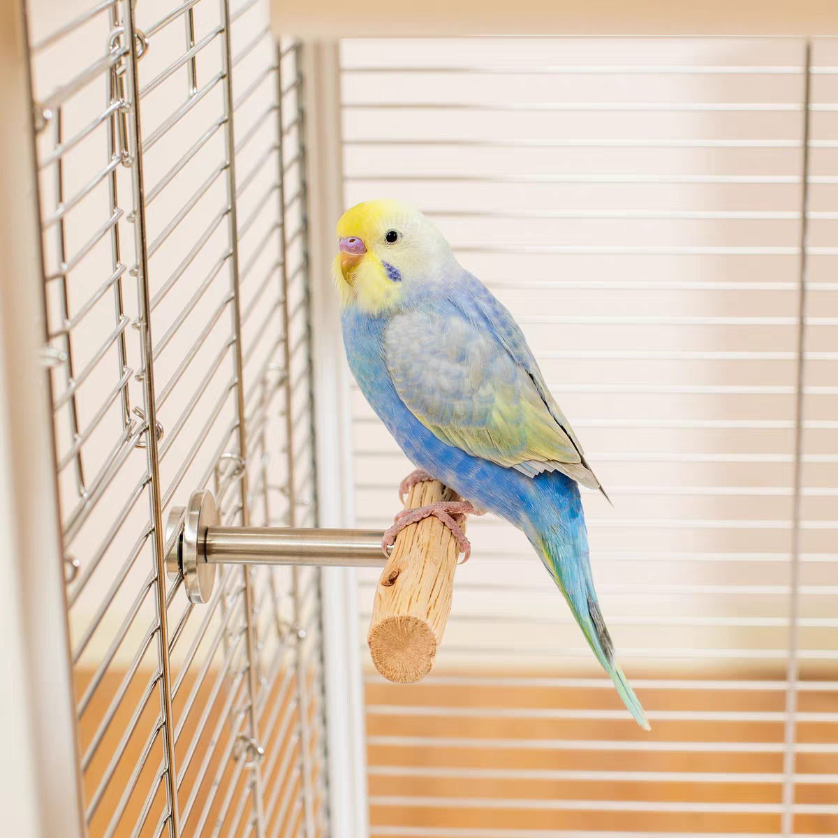 Natural Pear Wood T-Perch
