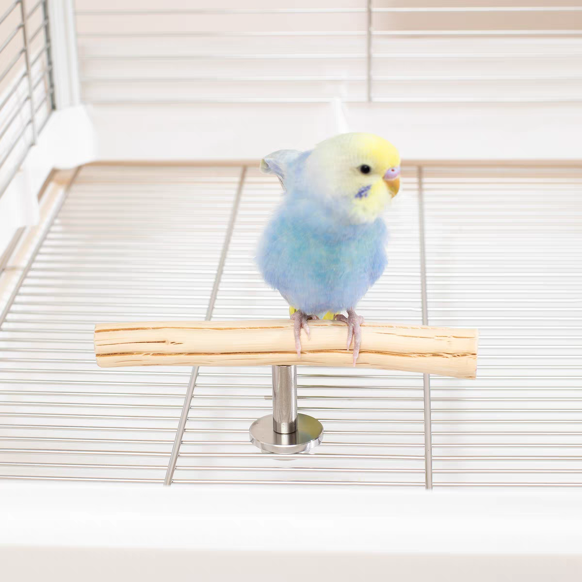 Natural Pear Wood T-Perch