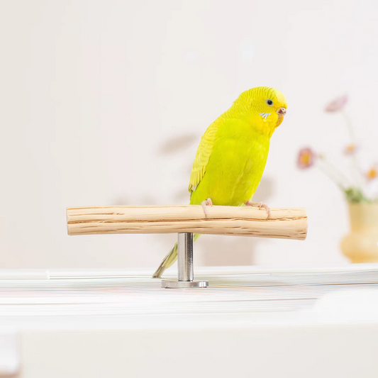 Natural Pear Wood T-Perch