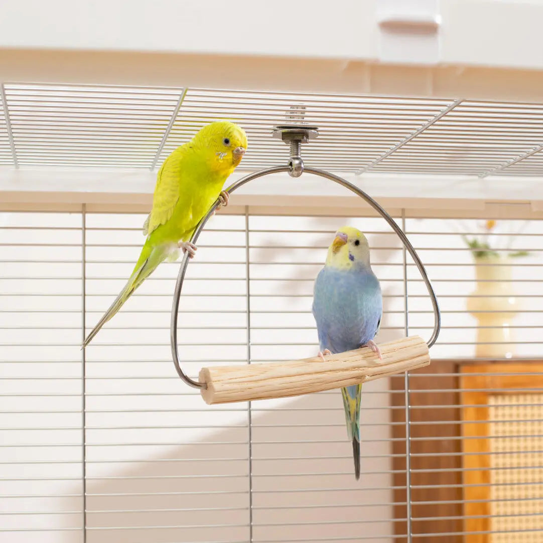 Multi-Directional Gliding Pear Wood Swing