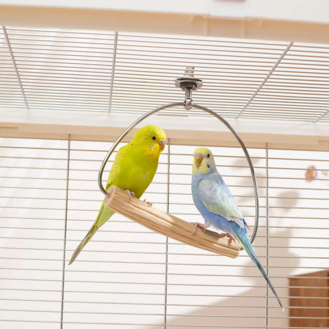 Multi-Directional Gliding Pear Wood Swing