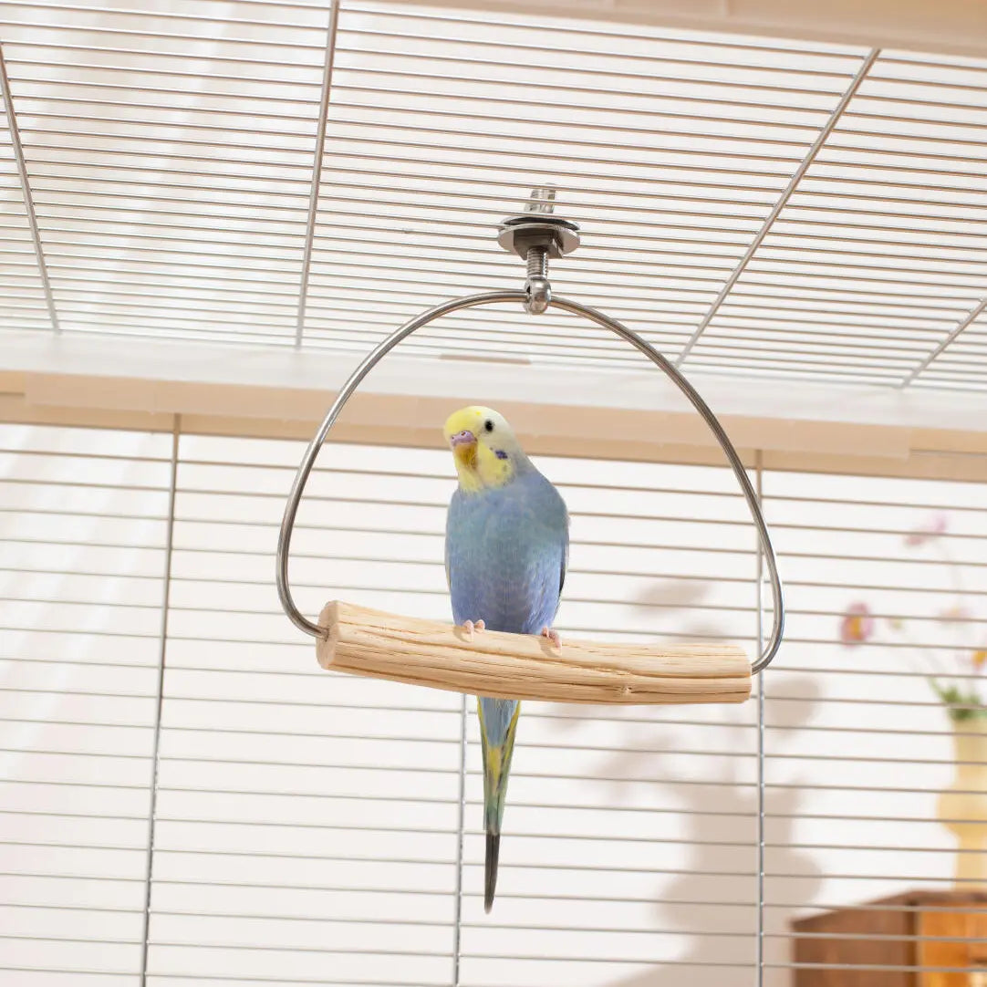 Multi-Directional Gliding Pear Wood Swing