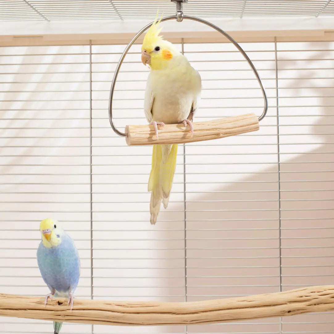 Multi-Directional Gliding Pear Wood Swing