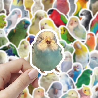 100 Pcs Realistic Parrot Sticker Pack