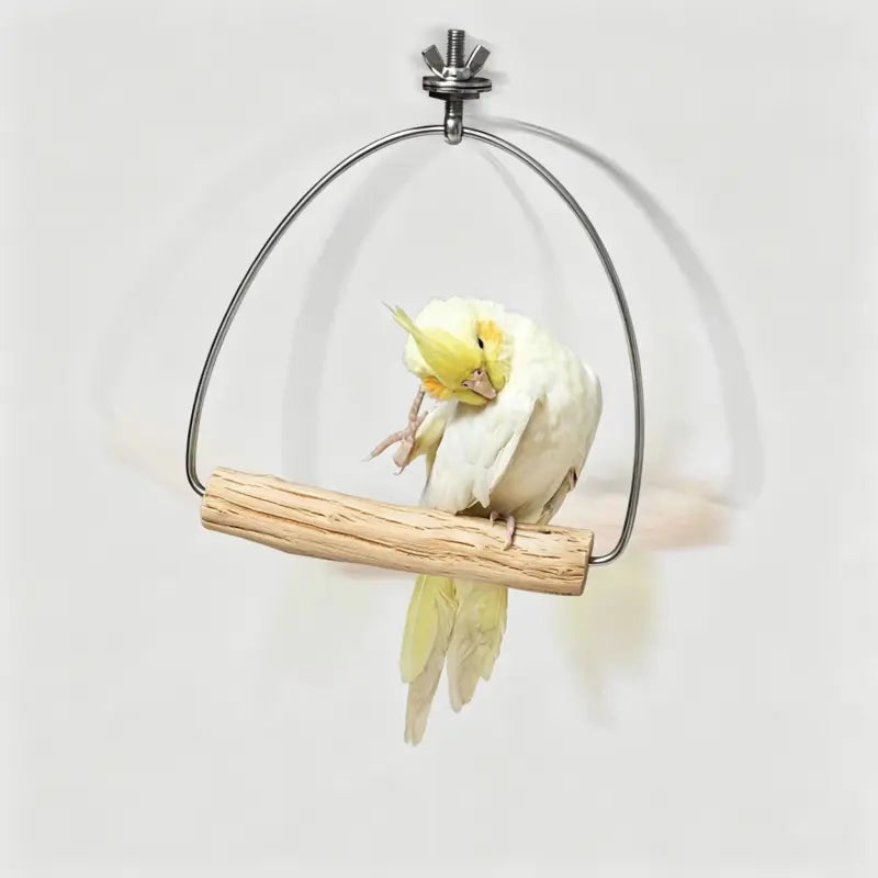 Multi-Directional Gliding Pear Wood Swing