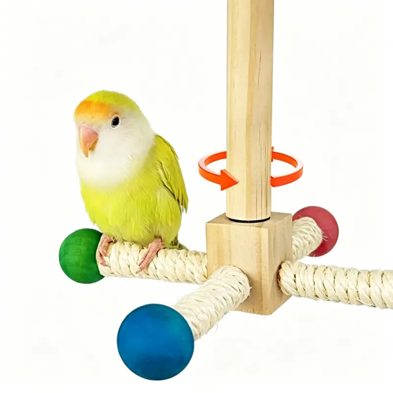 Interactive Spinning Bird Perch