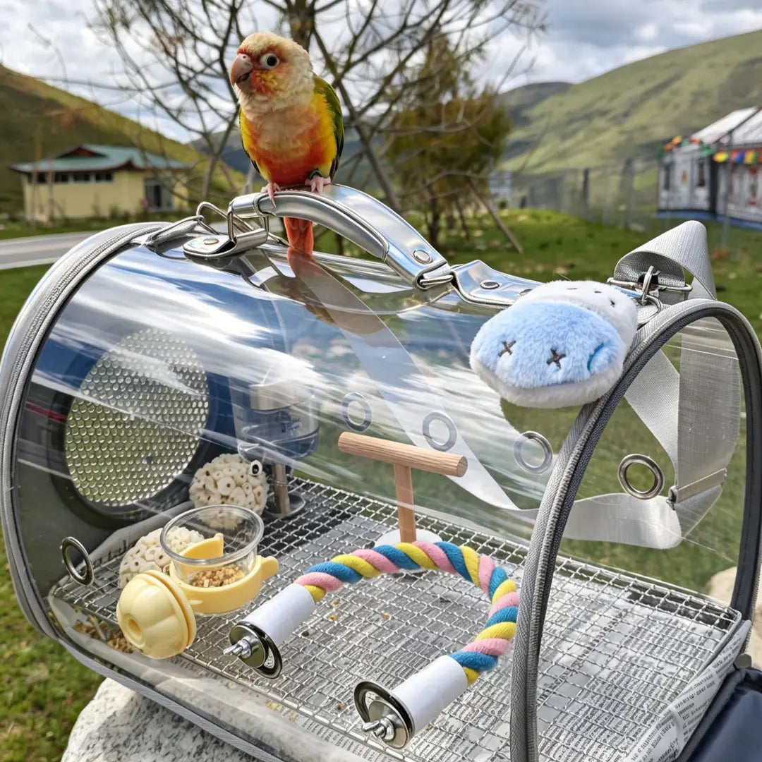 Large Capacity Clear Bird Travel Carrier