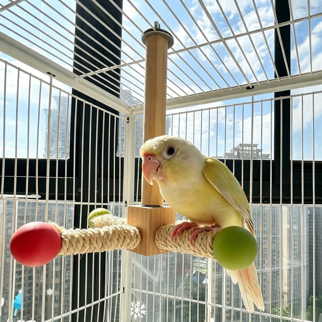 Interactive Spinning Bird Perch