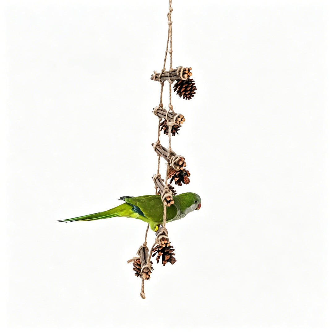 Pinecone Climbing Swing Toy