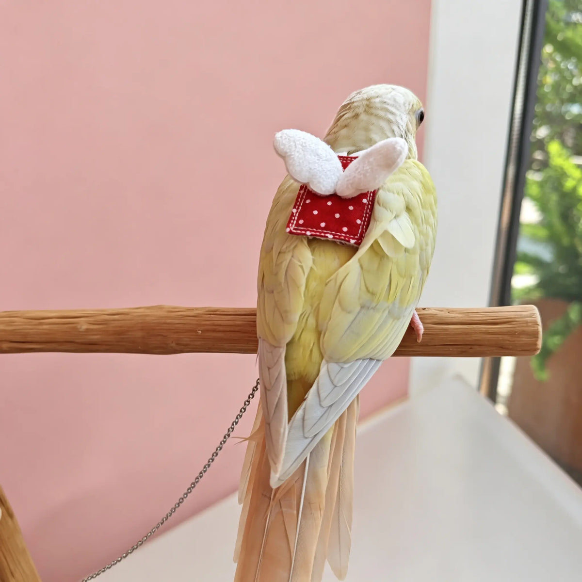 The Cherry Polka Dot Flight Harness