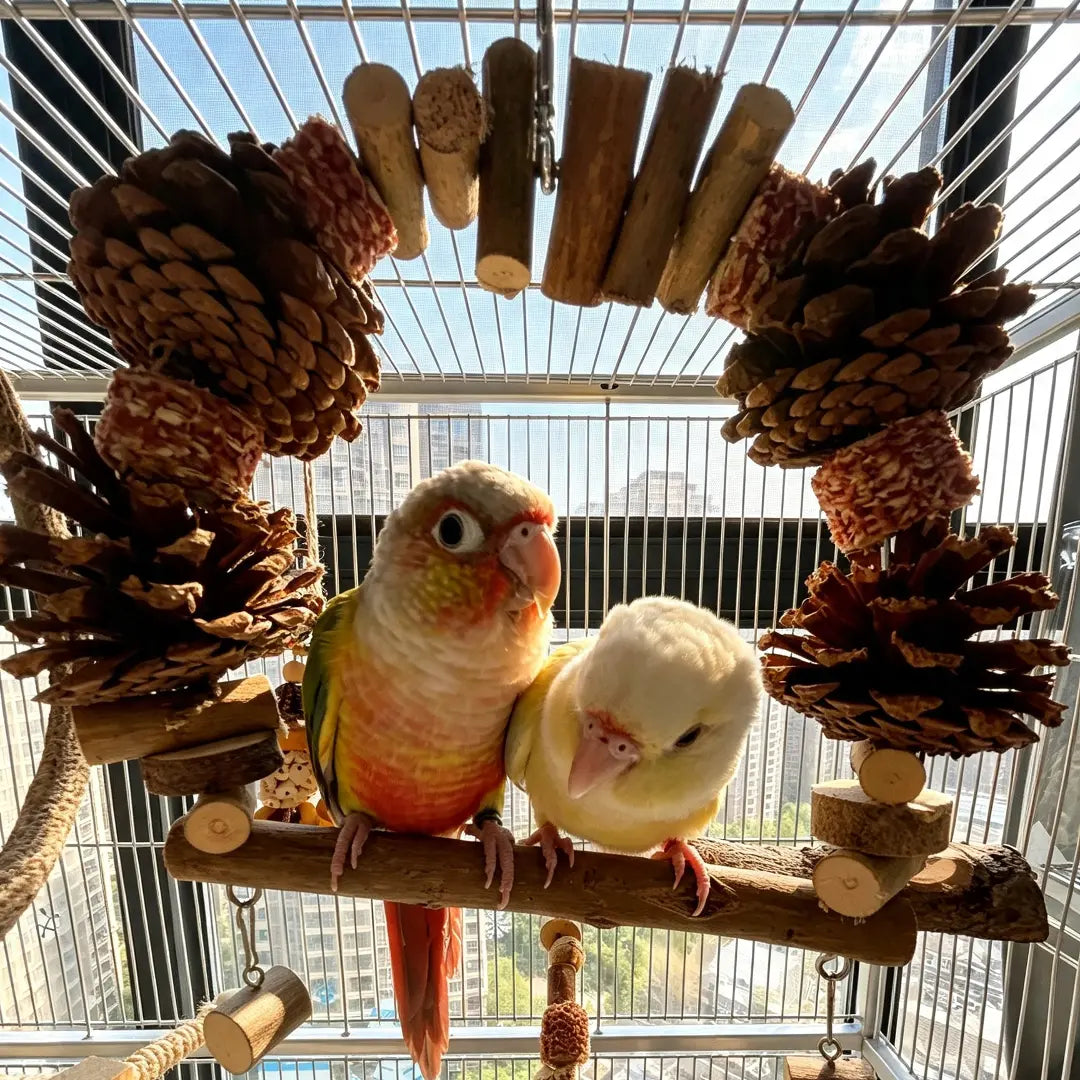 Pinecone & Natural Wood Arch Swing