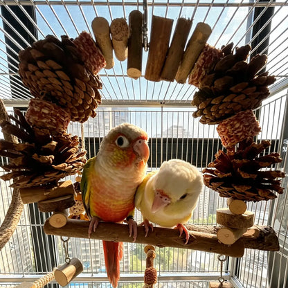 Pinecone & Natural Wood Arch Swing