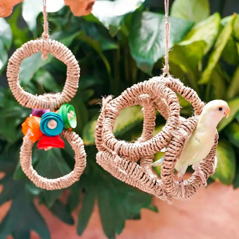 Handwoven Bird Swing Ring Toy