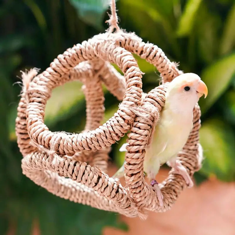 Handwoven Bird Swing Ring Toy