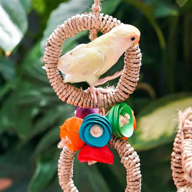 Handwoven Bird Swing Ring Toy