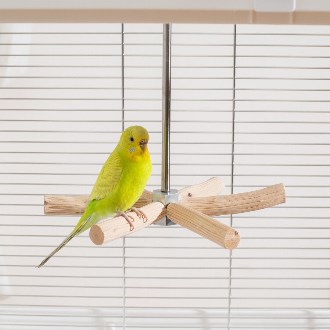 Natural Pearwood Spinning Bird Perch