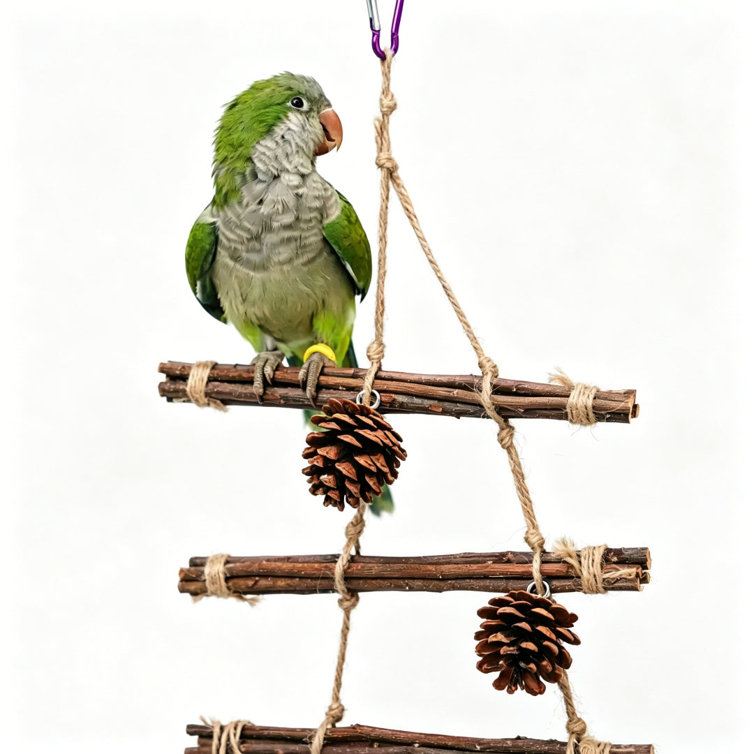 Pinecone Climbing Swing Toy