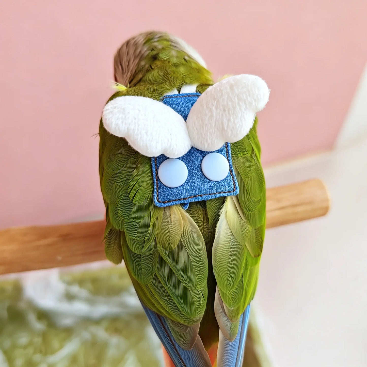 Classic Denim Parrot Diaper & Flight Harness