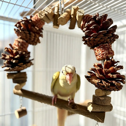 Pinecone & Natural Wood Arch Swing