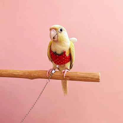 The Cherry Polka Dot Flight Harness