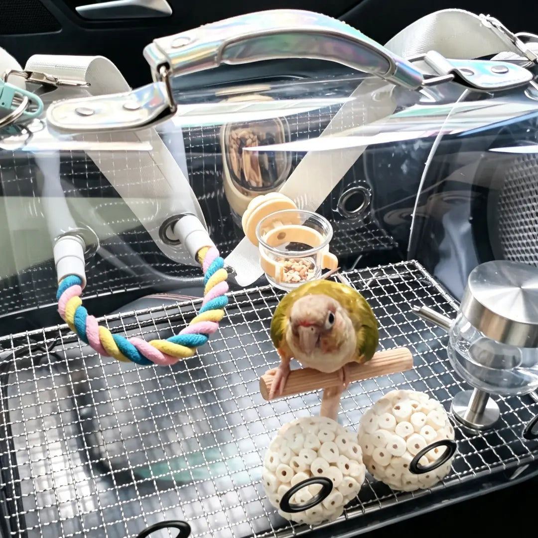 Large Capacity Clear Bird Travel Carrier