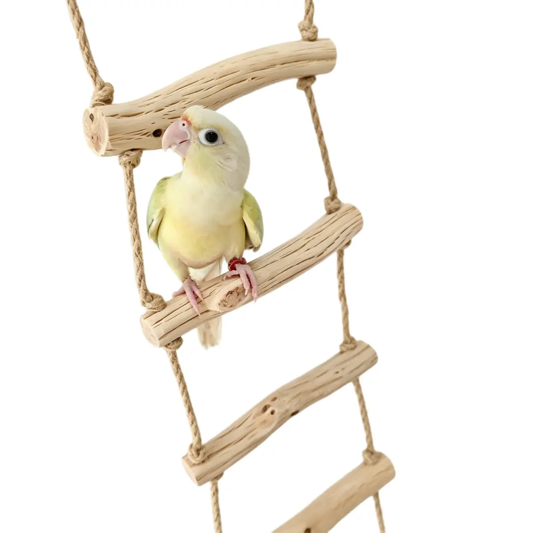Natural Wild Pearwood Bird Ladder