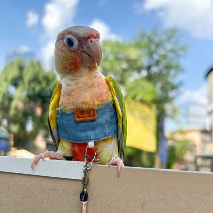 Classic Denim Parrot Diaper & Flight Harness
