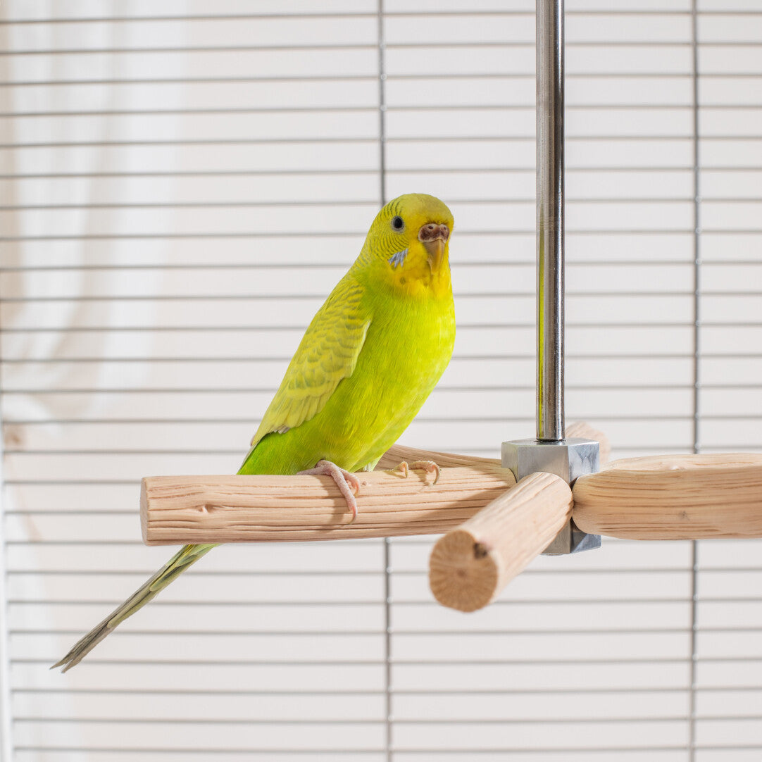 Natural Pearwood Spinning Bird Perch
