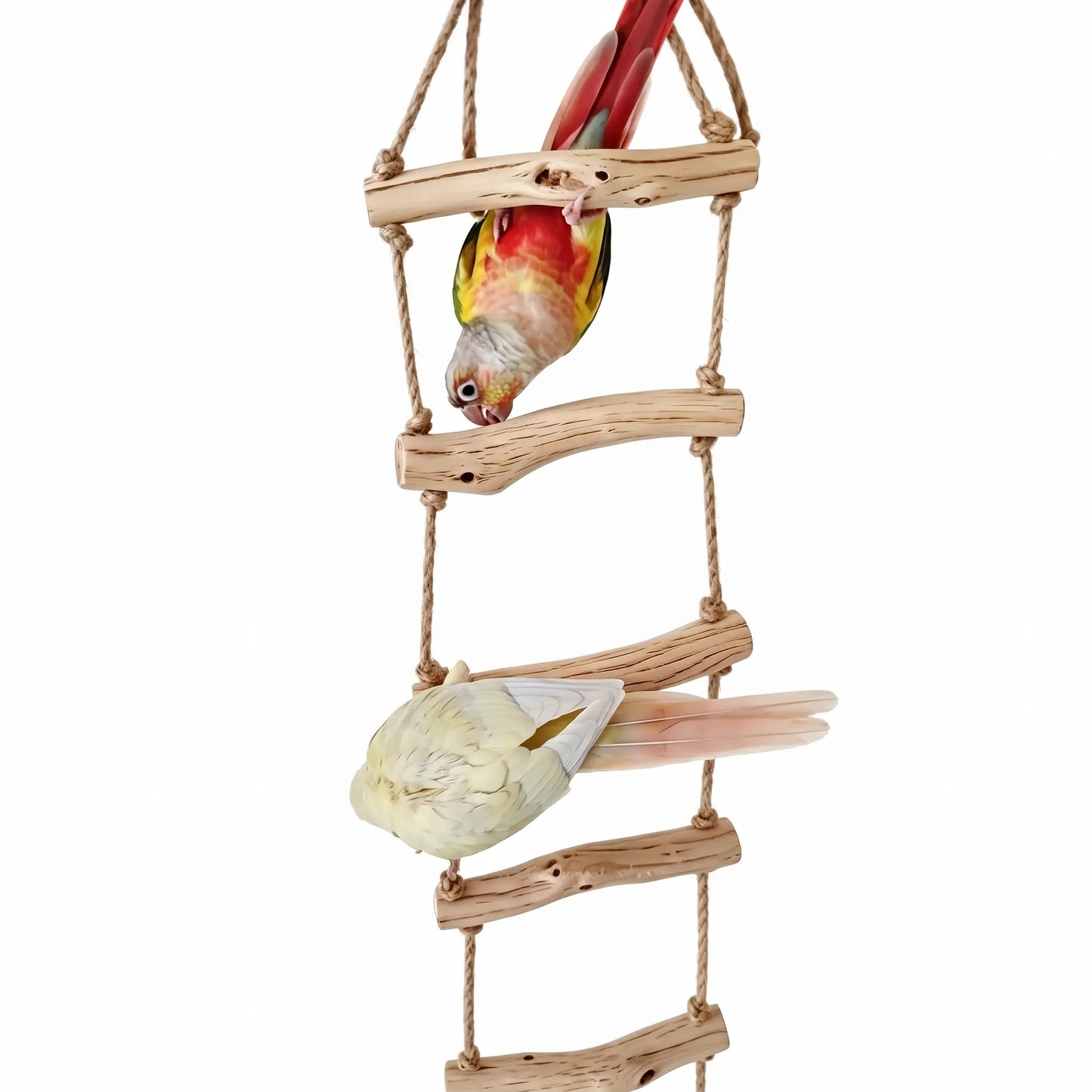 Natural Wild Pearwood Bird Ladder