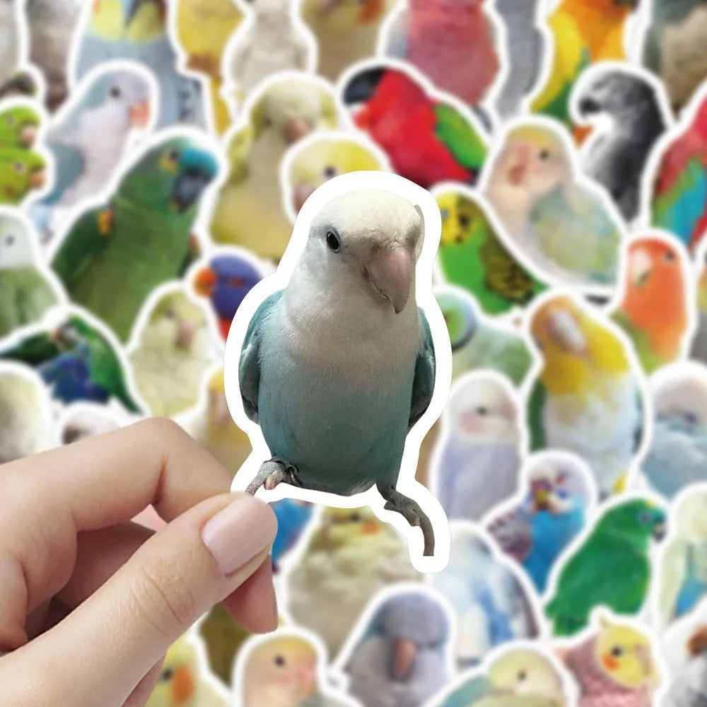 100 Pcs Realistic Parrot Sticker Pack
