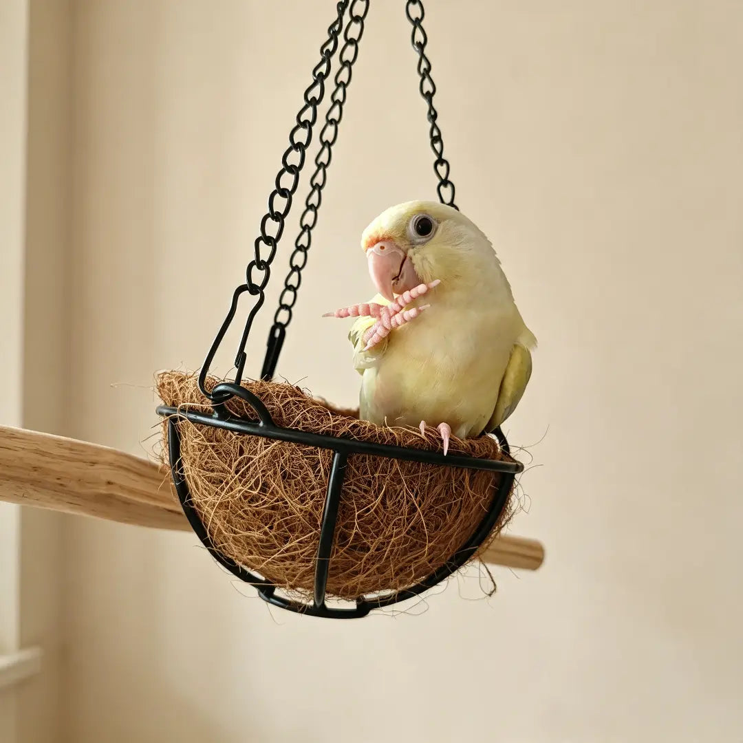 Handcrafted Pear Wood Bird Playstand