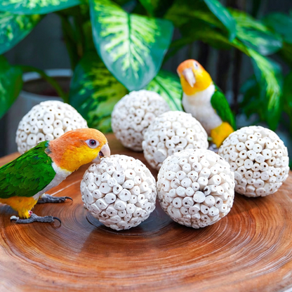 Natural Sola Wood Balls